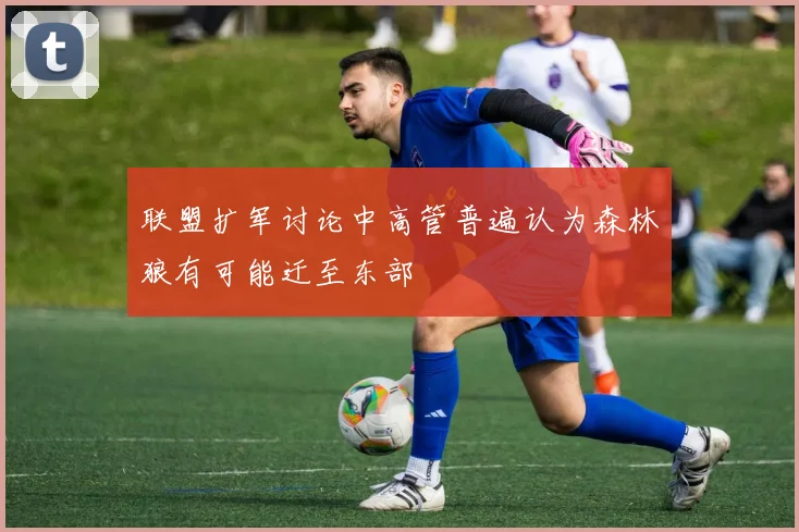 联盟扩军讨论中高管普遍认为森林狼有可能迁至东部