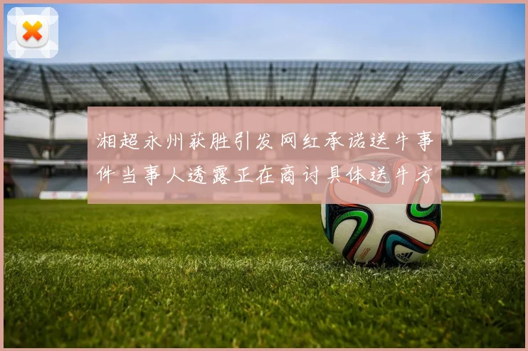 湘超永州获胜引发网红承诺送牛事件当事人透露正在商讨具体送牛方案