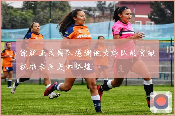 徐新正式离队感谢他为球队的贡献祝福未来更加辉煌
